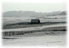Hut in Snow
