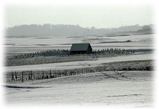 Hut in Snow