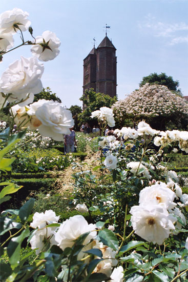 Sissinghurst White Garden