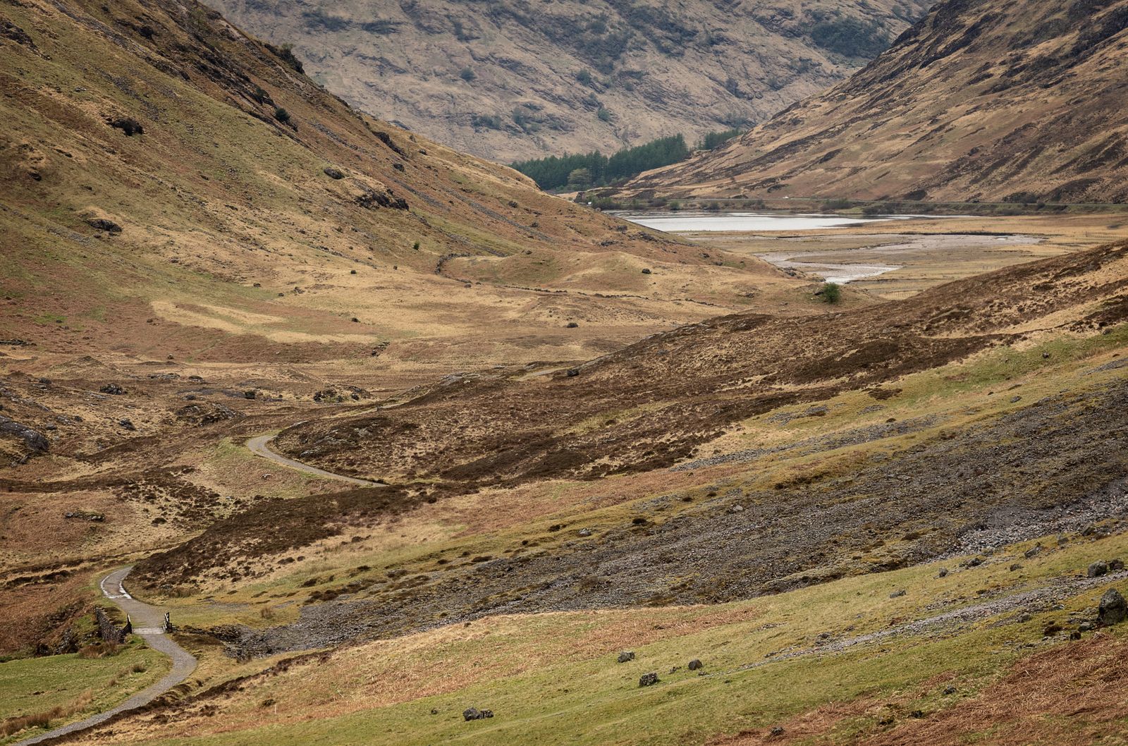 Glen Coe and Loch Linnie