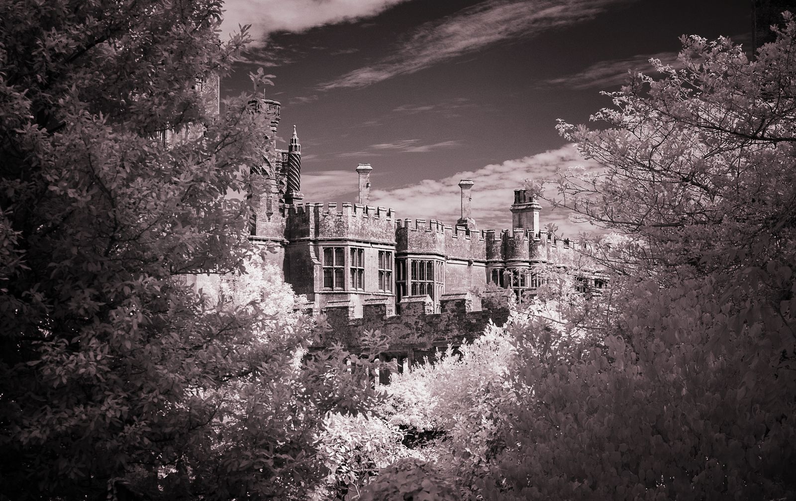 Windows of Thornbury Castle