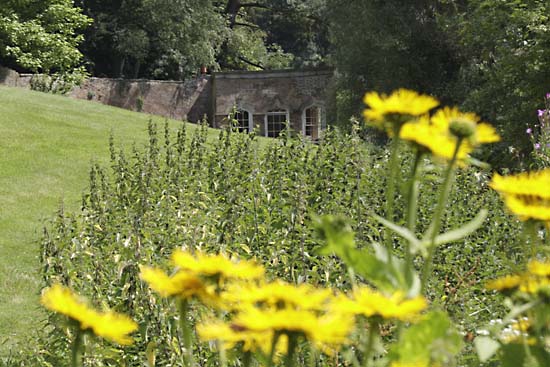 Newark Park Garden