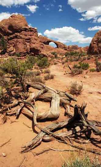 Skyline Arch, Arches National Park