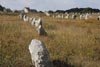 Carnac Stones