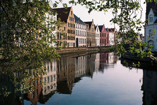 Reflected Houses