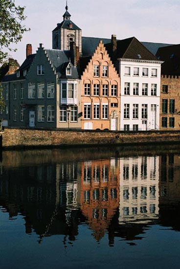 Reflected Houses