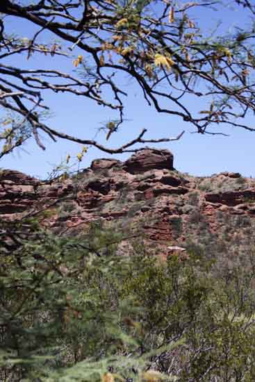 Desert Rocks