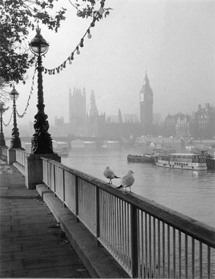 Westminster Tourists